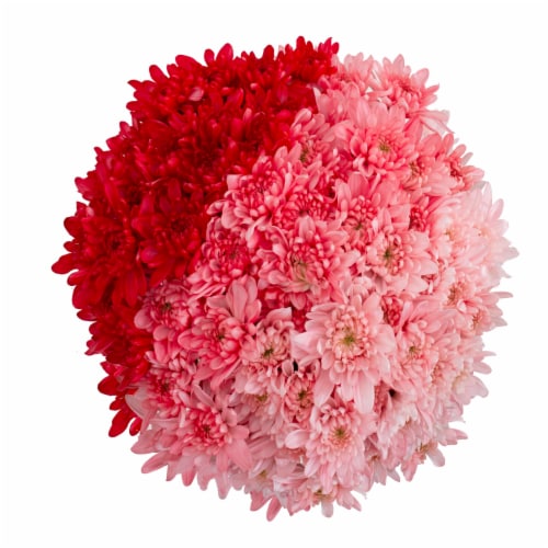 Consumer Bunch Ombre Poms Perspective: front