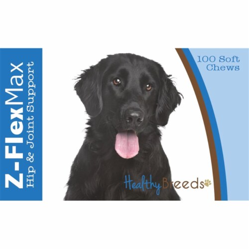 Healthy Breeds 840235107019 Flat Coated Retriever Z-Flex Max Hip & Joint Soft Chews - 100 cou Perspective: front