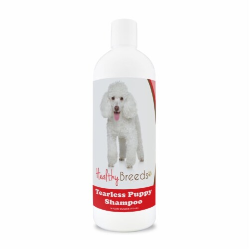 Poodle puppy shampoo cheap