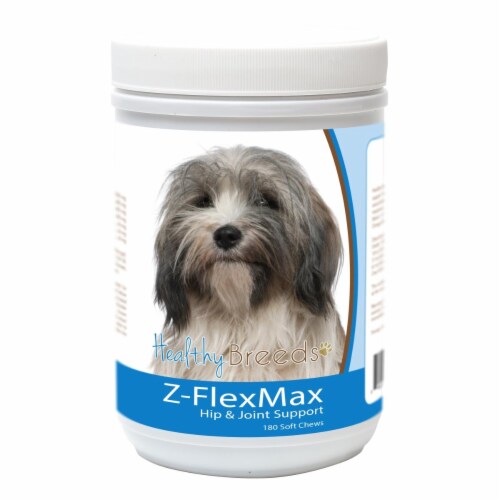 Healthy Breeds 840235155997 Tibetan Terrier Z-Flex Max Dog