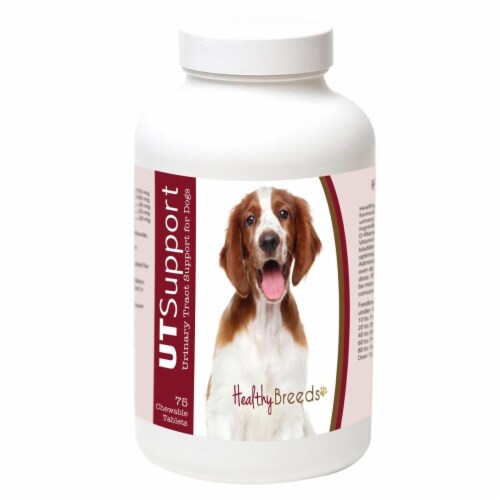 Healthy Breeds 840235184935 Welsh Springer Spaniel Cranberry Chewables, 75 Count Perspective: front