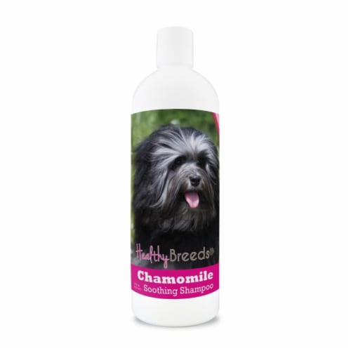 Healthy Breeds 840235199441 8 oz Lowchen Chamomile Soothing Dog Shampoo Perspective: front