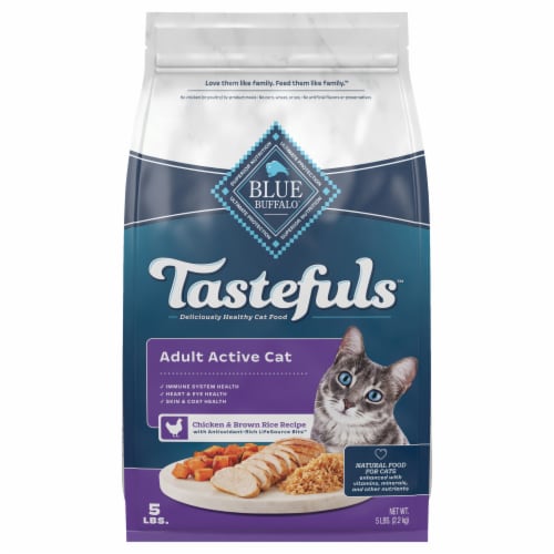 Blue Buffalo Healthy Living Chicken and Brown Rice Adult Dry Cat