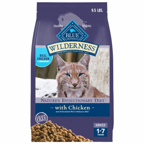 Blue Buffalo Wilderness Nature's Evolutionary Diet High-Protein Dry Food Adult Cats Chicken Perspective: front