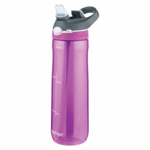 Contigo 24 oz Radiant Orchid Plastic Ashland Autospout Straw Water Bottle  BPA Free, 1 - Pay Less Super Markets