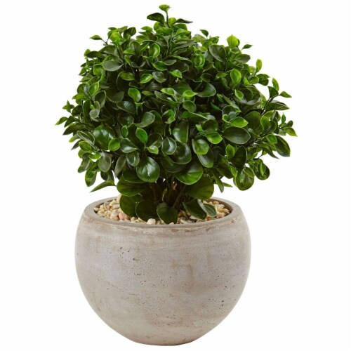NearlyNatural 6993 2 ft. Eucalyptus in Sand Colored Bowl UV Resistant Perspective: front