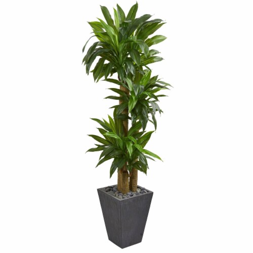 Nearly Natural 6437 5.5 ft. Cornstalk Dracaena Artificial Plant in Slate Planter - Real Touch Perspective: front