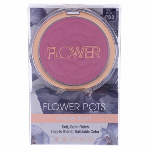 Flower Beauty Flower Pots Powder Blush Wild Rose Perspective: front