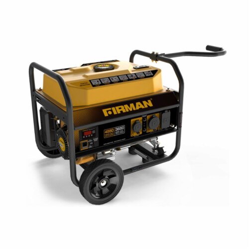 Firman Power Equipment P03602 Gas Powered 3650 4550 Watts Portable