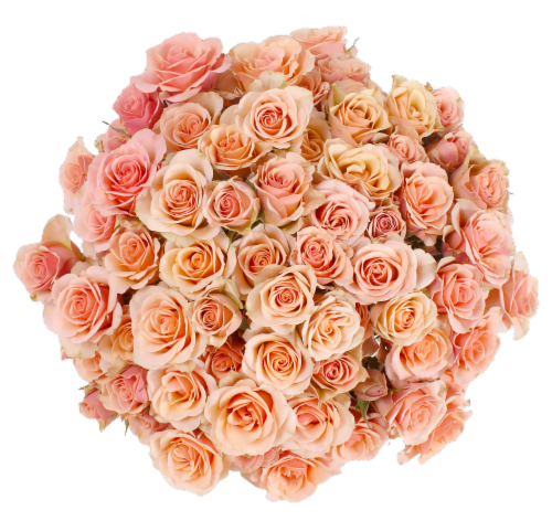 Big Bunch Spray Rose Perspective: front