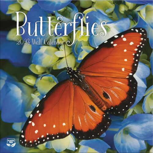 Lang Butterflies 2024 Wall Calendar, 1 ct Fred Meyer