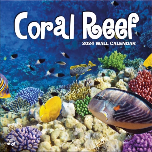 Lang Coral Reef 2024 Wall Calendar Perspective: front