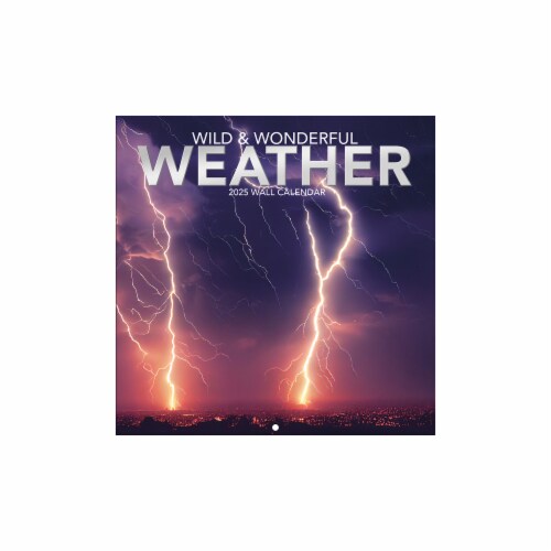 2025 Wild & Wonderful Weather Mini Calendar Perspective: front