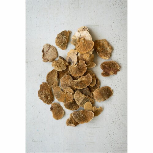 Kalalou NGLB1033 5.5 in. Dried Sponge Mushrooms - Bag of 48 Perspective: front