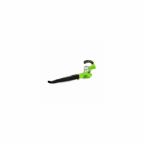Greenworks  2400202 G24 24V Cordless 2 Speed Blower Perspective: front