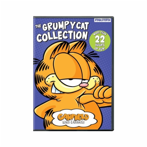 Garfield and Friends: The Grumpy Cat Collection (DVD) Perspective: front