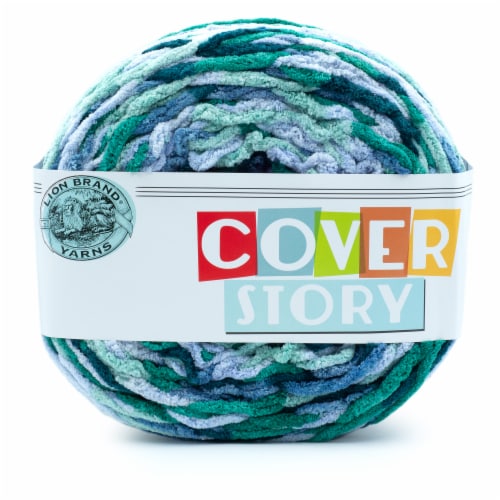 Lion Brand Yarn Cover Story Yarn Jasper, 1 ct Food 4 Less