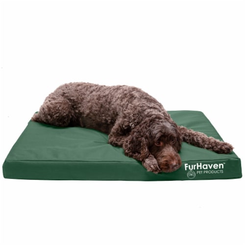 Furhaven orthopedic pet bed outlet