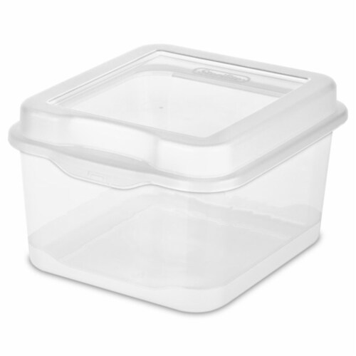 Clear Storage Box with Latched Lid, Large