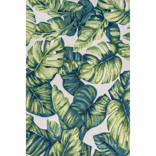 4' X 6' Multicolor Floral Indoor Outdoor Area Rug 4' X 6' Multicolor Floral Indoor Outdoor Area Rug