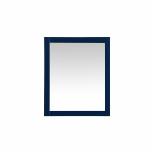 Aqua vanity mirror 30x36 inch in blue, 1 - Fred Meyer