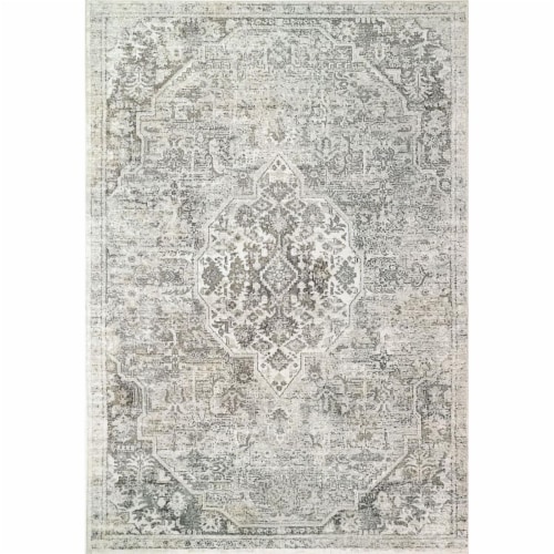 Dynamic Rugs ZN288345900 Zen 2 ft. 2 in. x 7 ft. 7 in. Grey Area Rug Perspective: front