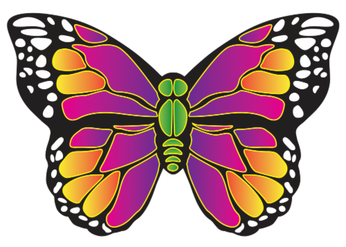 X Kites® Butterfly MicroKite Perspective: front