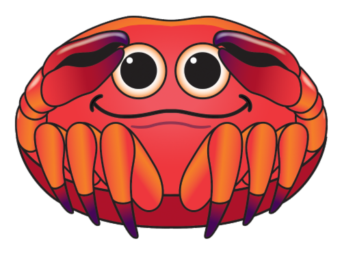 X Kites® MicroKite SeaCreature Kite - Crab Perspective: front