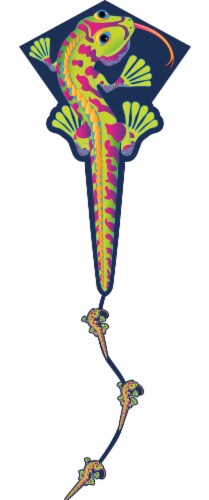 X Kites Deluxe Diamond Kite - Assorted Perspective: front