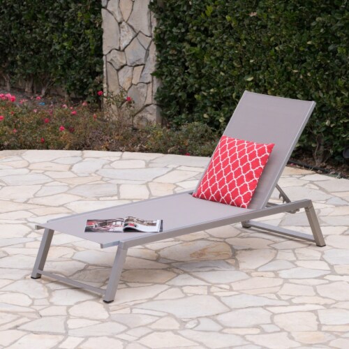 Aluminum frame best sale chaise lounge