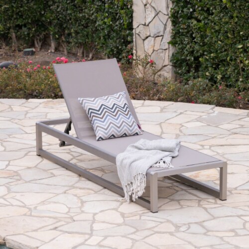 Aluminum frame best sale chaise lounge