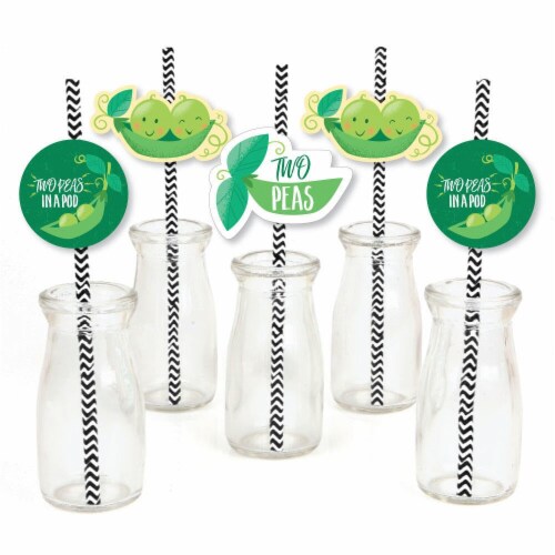 Big Dot of Happiness Double the Fun Twins Two Peas in a Pod - Striped Paper Straw Decor 24 Ct Perspective: front