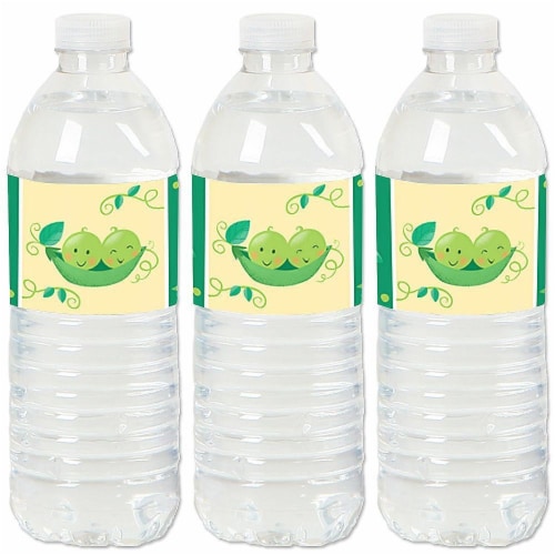 Big Dot of Happiness Double the Fun - Twins Two Peas in a Pod - Water Bottle Labels 20 Ct Perspective: front