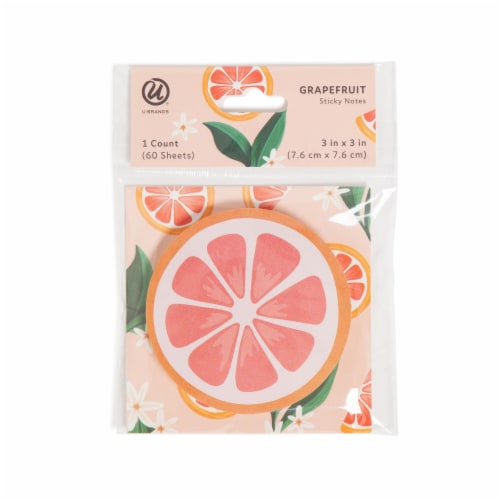 U Brands Painted Fruits Sticky Note Set Perspective: front