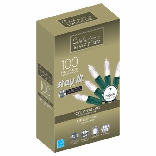 Christmas lights discount 100 count