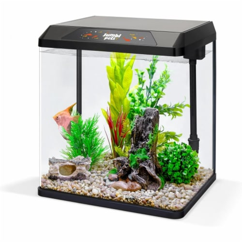 Fish bowl kit outlet
