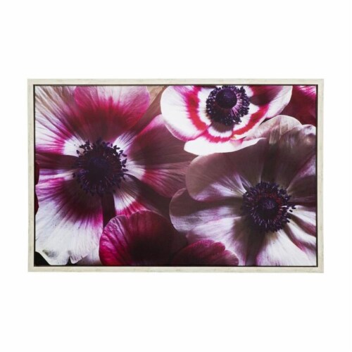 Yosemite Home Decor 3230102 38 x 25 in. Anemone II - Photo by Veronica Olson, Printed on Canv Perspective: front