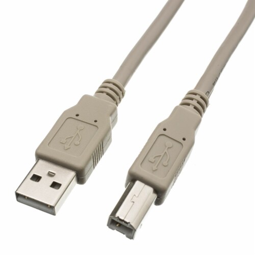 hed ejendom Neuropati USB 2.0 Printer/Device Cable, Type A Male to Type B Male, 10 foot, 1 Count  - Kroger