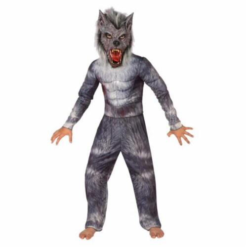 Costumes For All Occasions Werewolf Child Small 4-6 Costume Perspective: front