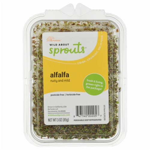 Wild About Spouts® Alfalfa Perspective: front