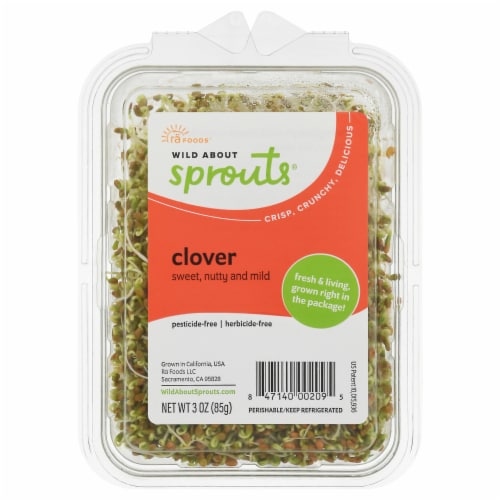 Wild About Sprouts® Clover Perspective: front