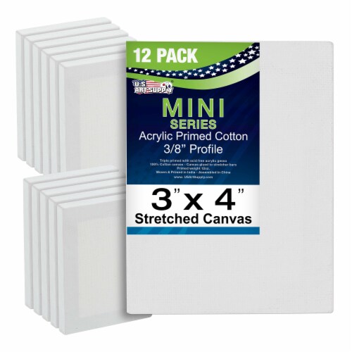 10 Assorted Medium Stretched Artist Paint Canvases (10 Pack), 10 Medium  Canvas Set - QFC