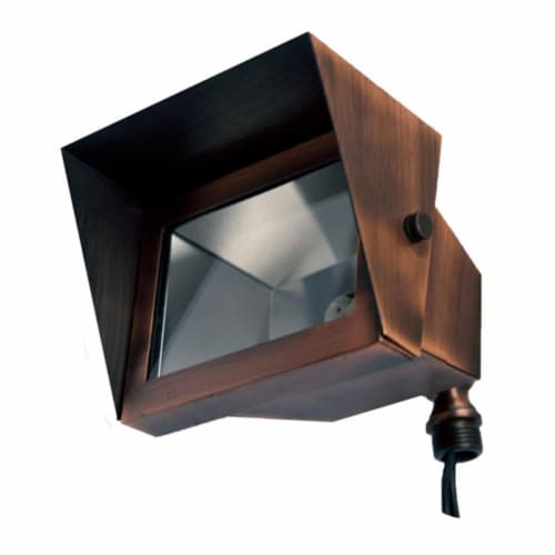 Dabmar Lighting LV117-ABZ Solid Brass Area Flood Light with Hood- Antique Bronze Perspective: front