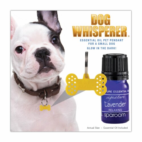 Lavender oil for puppies online