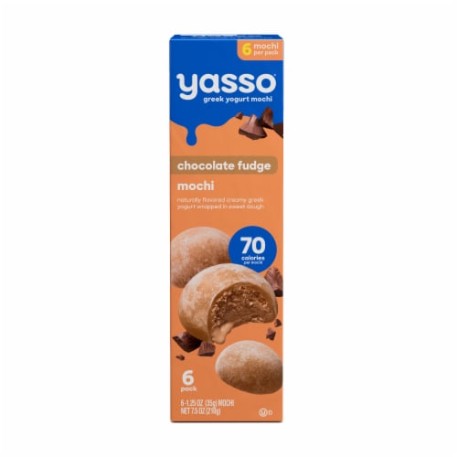 Yasso Frozen Greek Yogurt Chocolate Mochi, 6 ct - Harris Teeter
