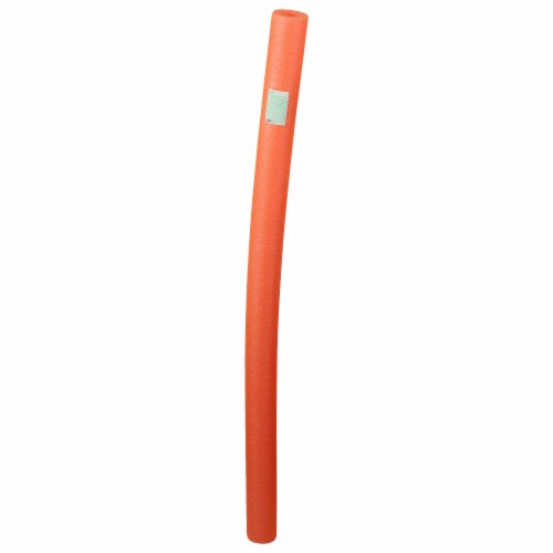 Monster Noodle Pool Noodle Toy Perspective: front