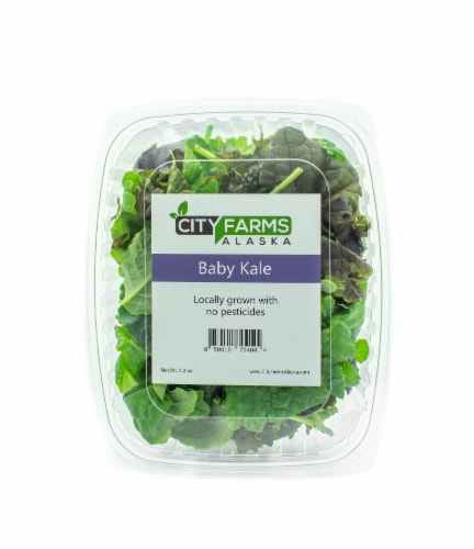 CityFarms Alaska Baby Kale Perspective: front