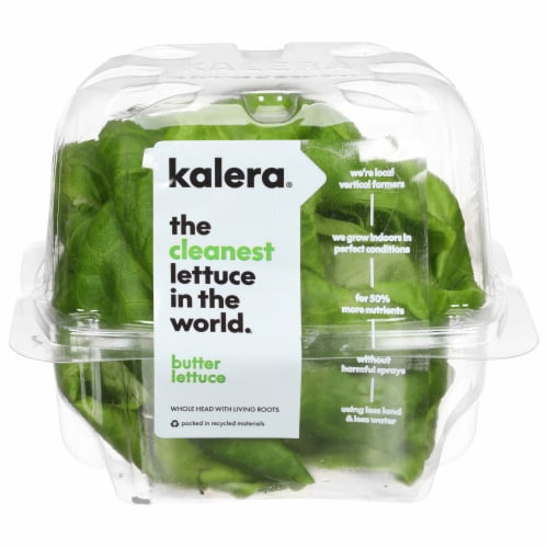 Kalera Living Hydroponic Butter Lettuce Perspective: front