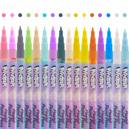 PINTAR Pastel Acrylic Paint Pens/Markers for Rock Painting, Wood - Pack of  16, 0.7 mm, 1 - Foods Co.