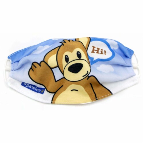 Plushible Teddy Bear Adjustable Cloth Face Masks for Kids and Young Adults Perspective: front